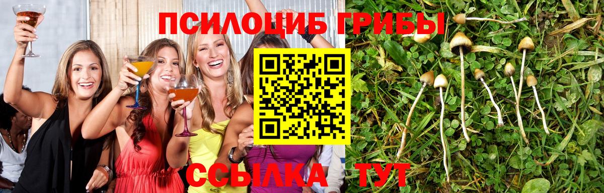 Галлюциногенные грибы ЛСД Коряжма