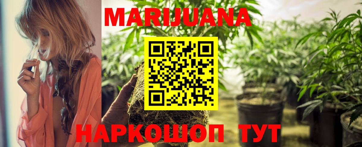Шишки марихуана план  Вход с VPN  Коряжма  Шишки марихуана Ganja 